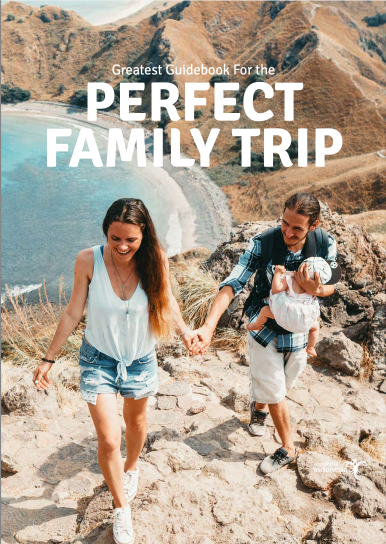 Greatest Guidebook For the Perfect Family Trip